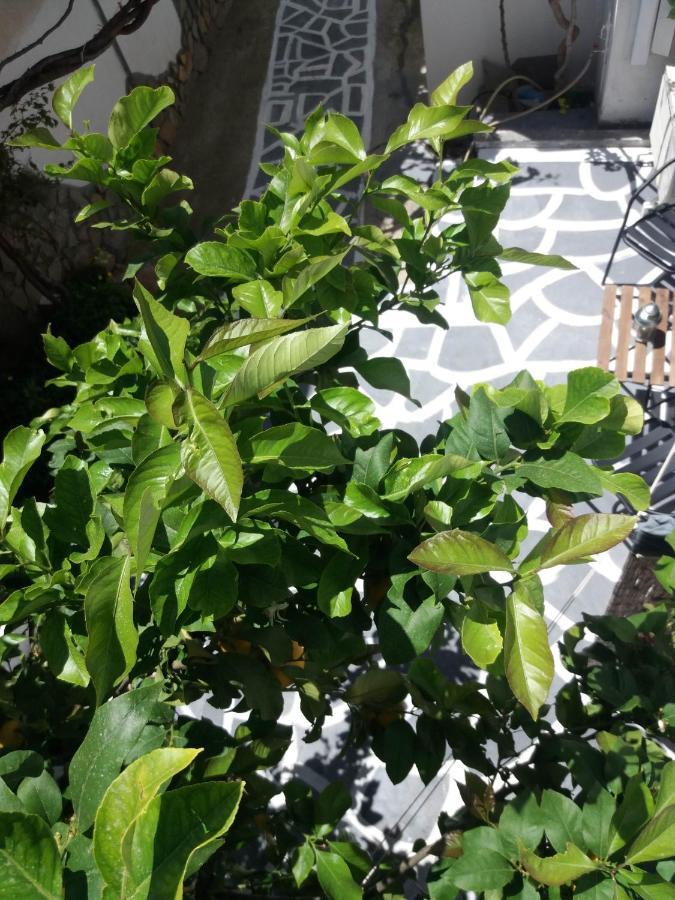 Apartment In Poros 포로스타운 외부 사진